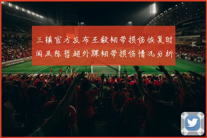 三镇官方发布王毅韧带损伤恢复时间及陈哲超外踝韧带损伤情况分析